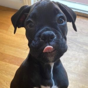 Meet your Posher, Claudia